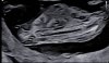 20240423_130417.jpg