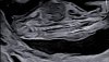20240423_130454.jpg