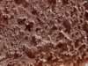 20240424_081854.jpg