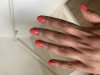 upload_2024-4-24_14-3-18.jpeg