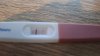 IMG-20240425-WA0001.jpeg