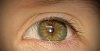 IMG_5433.jpeg