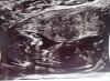 IMG_9410.jpeg