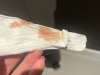IMG_7196.jpeg