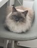 IMG_4564.jpeg