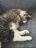 IMG_4565.jpeg