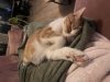 IMG_0376.jpeg