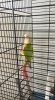 IMG_0886.jpeg