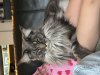 IMG_1655.jpeg