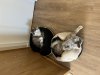 IMG_0583.jpeg