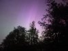 IMG_2613.jpeg
