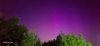 3bfe4608-fcf7-4605-a46c-a9576345f530.jpeg