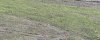 IMG_2460.jpeg