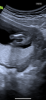 IMG_1806.png