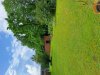 20240520_110531.jpg