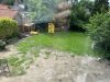 IMG_7884.jpeg