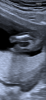 IMG_1935.png
