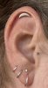 IMG_9799.jpeg