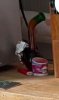 IMG_2894.jpeg