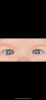 IMG_4023.png