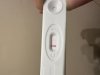 IMG_7022.jpeg