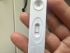 IMG_7085.jpeg