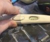 IMG_7346.jpeg