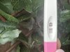 IMG_1117.jpeg