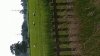 IMG-20240614-WA0012.jpeg