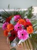 IMG_20240618_162753.jpg