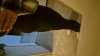 IMG-20240621-WA0008.jpeg
