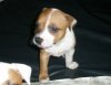 img267882010.jpg