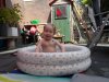SAM_7904.jpg