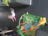 20130820_073743.jpg
