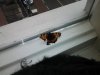 20130822_134940.jpg