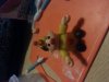 20130728_214731.jpg