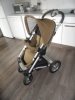 Buggy 004.jpg