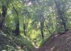 20240628_132810.jpg