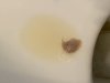 IMG_2553.jpeg