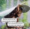 Zomer vakantie.jpg