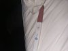 IMG_8931.jpeg