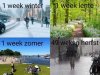 FB_IMG_1721210031939.jpg