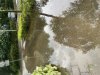 IMG_4210.jpeg