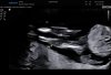 20240724_I0239812.jpg