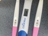 IMG_6229.jpeg