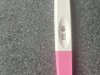 IMG_7980.jpeg