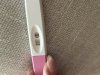 IMG_8044.jpeg
