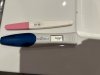 IMG_0620.jpeg