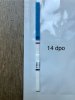IMG_6550.jpeg
