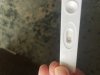 IMG_6310.jpeg